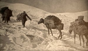 De Franse en Italiaanse posities hebben meer dan 2 meter sneeuw boven zeeniveau. door Unknown photographer