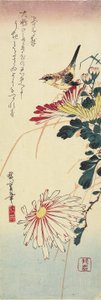 (Chrysanten en een Klauwier), 1830-1858