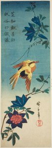 (Facsimile?) Zwartnekoriole en clematis door Utagawa Hiroshige