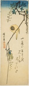 Vogel op Zijdeachtige Wisteria door Utagawa Hiroshige