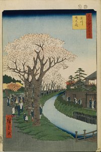 Kersenbloesems aan de oevers van de Tama-rivier Honderd Beroemde Uitzichten van Edo, 1856-1858 door Utagawa Hiroshige