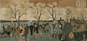 Kersenbloesems in volle bloei langs de Sumida-rivier