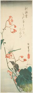 Libel en Begonia door Utagawa Hiroshige