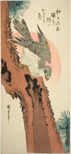 Valk op een dennenboom met de opkomende zon door Utagawa Hiroshige