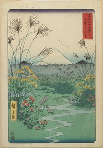 Veld bij O_tsuki in de Provincie Kai, april 1858