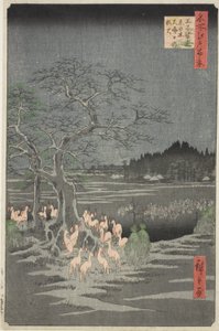 Vossenvuren op oudejaarsavond bij de veranderlijke boom in Oji (Oji shozoku enoki omisoka no kitsunebi), uit de serie "Honderd beroemde vergezichten van Edo (Meisho Edo hyakkei)". door Utagawa Hiroshige