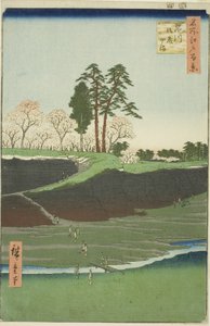 Goten Hill bij Shinagawa (Shinagawa Gotenyama), uit de serie "Honderd beroemde uitzichten van Edo (Meisho Edo hyakkei)" door Utagawa Hiroshige