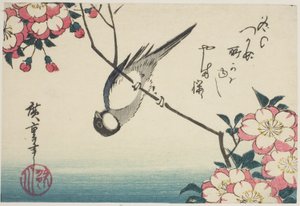 Koolmees op kersenbloesemtak door Utagawa Hiroshige