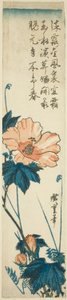 Hibiscus door Utagawa Hiroshige