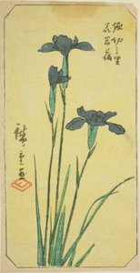 Iris in het Dorp Horikiri (Horikiri no sato hanashobu), deel van een blad uit de serie "Uitgeknipte Afbeeldingen van Beroemde Plaatsen in Edo (Edo meisho harimaze zue)"