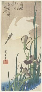 Iris en Reiger, 1832-1834
