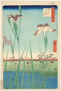 Iris bij Horikiri (Horikiri no hanashobu), uit de serie "Honderd beroemde uitzichten van Edo (Meisho Edo hyakkei)" door Utagawa Hiroshige