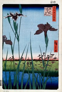 Iris bij Horikiri Honderd Beroemde Zichten van Edo, 1856-1858 door Utagawa Hiroshige
