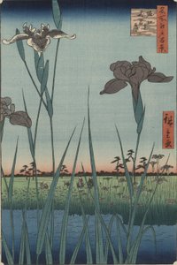 Iris van Horikiri, uit de serie Honderd Beroemde Zichten van Edo door Utagawa Hiroshige