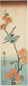 Japanse Witte Ogen op een Esdoorn Tak door Utagawa Hiroshige