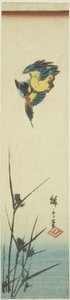 IJsvogel en Riet door Utagawa Hiroshige