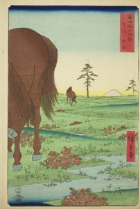 Kogane Vlakte in de Provincie Shimosa (Shimosa Koganehara), uit de serie "Zesendertig Zichten op de Berg Fuji (Fuji sanjurokkei)" door Utagawa Hiroshige
