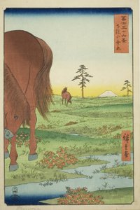 Kogane Vlakte in Shimosa Provincie, uit de serie "Zesendertig Zichten op de Berg Fuji (Fuji sanjurokkei)" door Utagawa Hiroshige