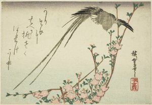 Langstaartvogel en Perzikbloesems door Utagawa Hiroshige