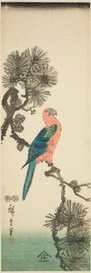 Ara op dennen tak door Utagawa Hiroshige