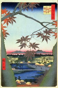 Esdoorns bij Mam, Tekona heiligdom en verbonden brug, plaat 94 uit de serie Honderd uitzichten van Edo, Edo Periode, Ansei Era, 1857 door Utagawa Hiroshige