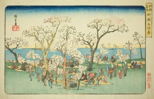 Feestvieren op Goten Heuvel (Gotenyama yukyo), uit de serie "Beroemde Plaatsen in Edo (Koto meisho)"