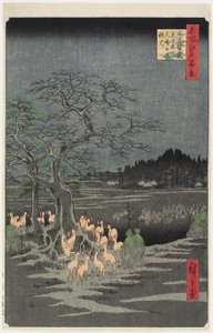 Oudejaarsavond Vossenbranden bij Nettle Tree, O_ji, september 1857