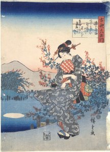 Noji: Zes Tama Rivieren
