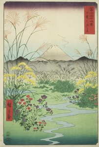 Otsuki-vlakte in de provincie Kai (Kai Otsuki no hara), uit de serie "Zesendertig Zichten op de Fuji (Fuji sanjurokkei)"