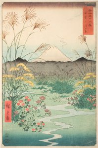 Otsuki Vlakte in de Provincie Kai (Kai Otsuki no hara), uit de serie 