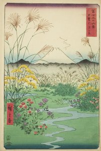 Otsuki Vlakte in de Kai Provincie, uit de serie 