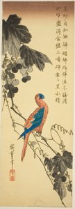 Papegaai op een Wijnstok door Utagawa Hiroshige
