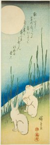 Konijnen onder volle maan door Utagawa Hiroshige