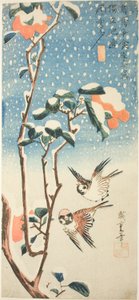 Mussen en camelia in de sneeuw door Utagawa Hiroshige