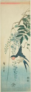 Zwaluw en wisteria door Utagawa Hiroshige