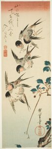 Zwaluwen en kersenbloesems door Utagawa Hiroshige