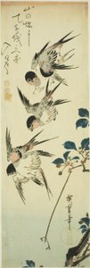 Zwaluwen en bloeiende tak door Utagawa Hiroshige