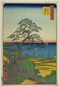 De Pantser-hangende den bij Hakkeizaka (Hakkeizaka Yoroikakematsu), uit de serie "Honderd beroemde vergezichten van Edo (Meisho Edo hyakkei)".
