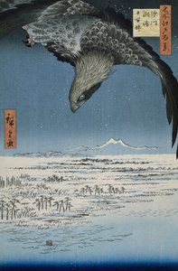 De Jumantsubo-vlakte in Susaki bij Fukagawa
