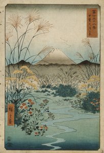  door Utagawa Hiroshige