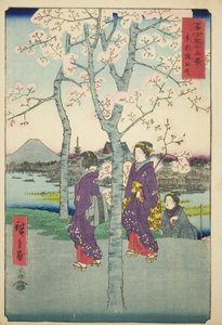 De Sumida-dijk in de oostelijke hoofdstad (Toto Sumida-zutsumi), uit de serie "Zesendertig gezichten op de berg Fuji (Fuji sanjurokkei)"
