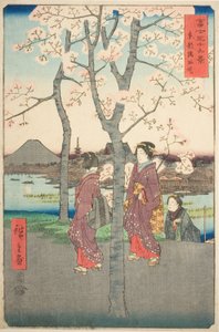 De Sumida-dijk in de oostelijke hoofdstad (Toto Sumida zutsumi), uit de serie "Zesendertig gezichten op de berg Fuji (Fuji sanjurokkei)" door Utagawa Hiroshige