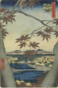  door Utagawa Hiroshige