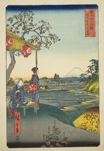 Uitzicht op de berg Fuji vanuit een theehuis in Zoshigaya (Zoshigaya Fujimi chaya), uit de serie "Zesendertig gezichten op de berg Fuji (Fuji sanjurokkei)"