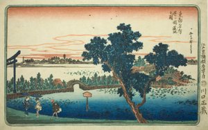 Uitzicht op de Lotusvijver bij Shinobugaoka, uit de serie "Beroemde Zichten van de Oostelijke Hoofdstad"