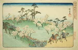 Kersenbloesems Bekijken op Asuka Heuvel, uit de serie "Beroemde Plaatsen in Edo" door Utagawa Hiroshige