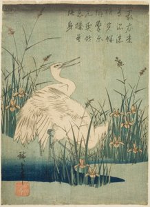 Witte reigers en iris door Utagawa Hiroshige