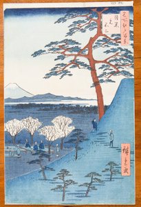  door Utagawa Hiroshige
