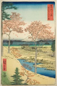 Yuhi-heuvel bij Meguro in de oostelijke hoofdstad (Toto Meguro Yuhigaoka), uit de serie "Zesendertig gezichten op de berg Fuji (Fuji sanjurokkei)" door Utagawa Hiroshige