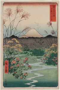 Ōtsuki-vlakte in de Provincie Kai, uit de serie Zesendertig Zichten op de Berg Fuji